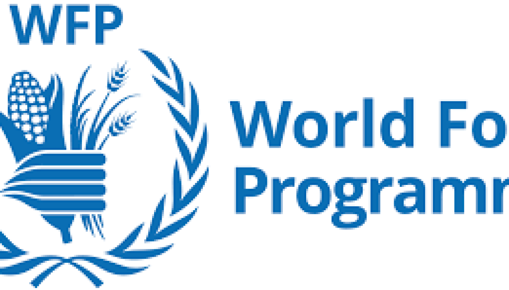 wfp Budget and Programming Associate G6 Vacancy-Job Ref: WJMGWFP/1201/202676
